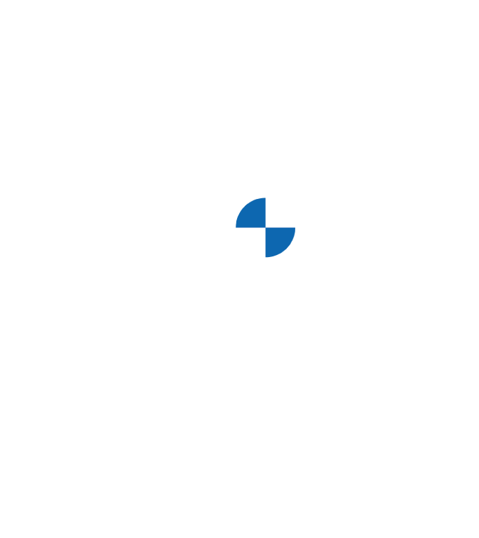 BMW Logo